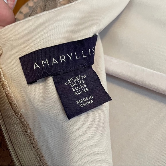 Amaryllis Stylish Tan Lace Dress with Ruffle Hem-Lined-Size XS- - Picture 10 of 10